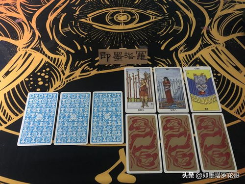 塔罗牌官方网站下载：塔罗牌官方网站下载指南，安全获取专业塔罗工具