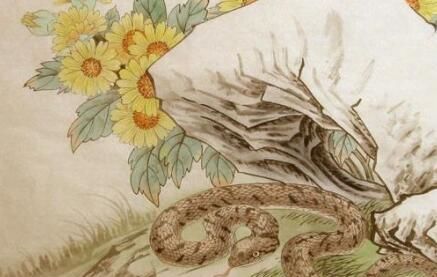 2023年属蛇有两喜缠身：2023年属蛇人福星高照！两喜临门，事业财运双丰收的吉祥预言