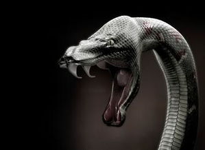 梦见蟒蛇咬自己的手：解密梦境，梦见蟒蛇咬自己的手—潜意识的警示与自我探索