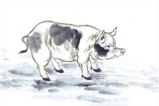 属狗1994山头火命详解：属狗1994年山头火命详解，性格特质与人生运势全解析