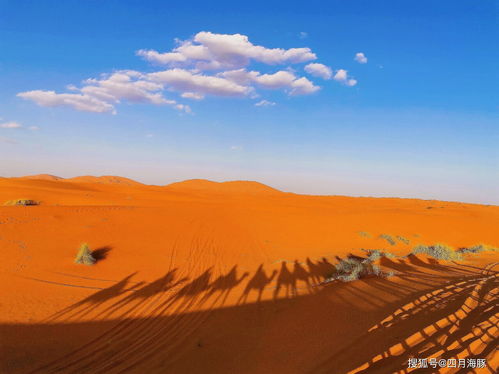 梦见好多坟地：荒野之梦，梦见好多坟地的心理解密与应对指南