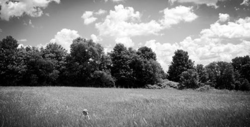梦见好多坟地：荒野之梦，梦见好多坟地的心理解密与应对指南