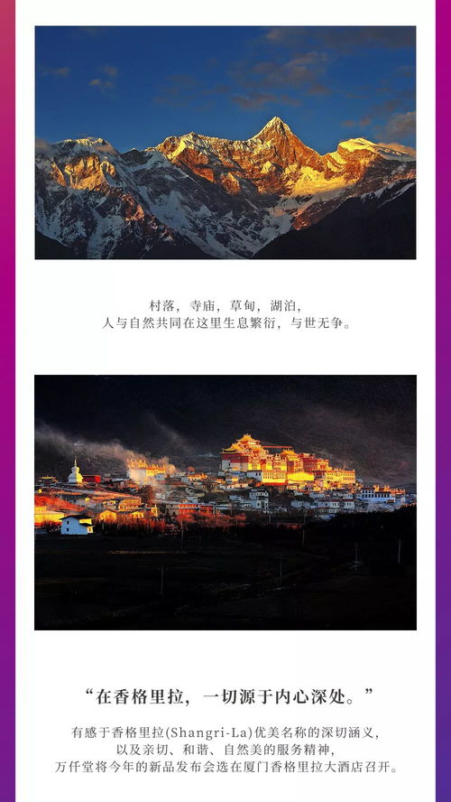 梦见好多坟地：荒野之梦，梦见好多坟地的心理解密与应对指南