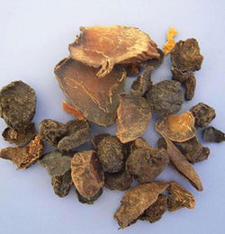 制川乌的功效与作用：制川乌的功效与作用，揭秘中药中的强筋骨圣品