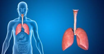 肺部有肿瘤一般会哪里痛：肺癌疼痛，这些部位最常被忽略的警示信号