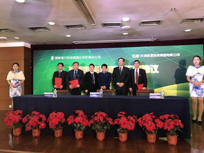 电投能源:内蒙古电投能源股份有限公司董事会关于公司股票价格在本次交易首次公告日前20个交易日内波动情况的说明