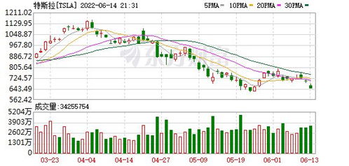 科技股普跌拖累特斯拉股价，马斯克获万亿薪酬方案后累跌10%