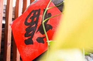 正月十五是结婚吉日吗：正月十五是结婚吉日吗？传统文化与现代婚俗的平衡之道