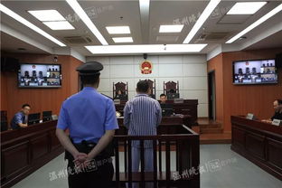 因侵害商标权纠纷?，红蜻蜓起诉温州市瓯海瞿溪林可兴服装店等