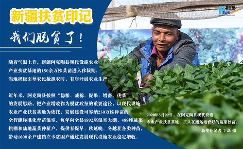 7月15日：7月15日，平凡中的历史印记与人文温度