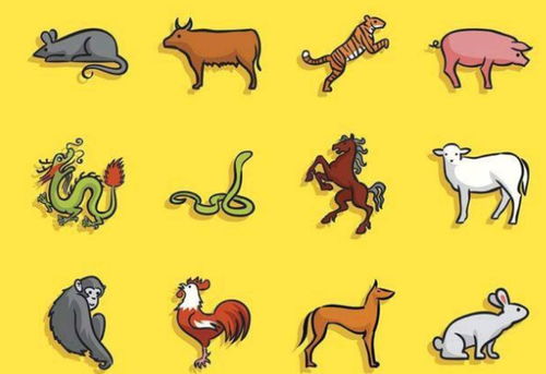 十二生肖的顺序排列：十二生肖的顺序密码，从天文历法到文化传承的千年智慧