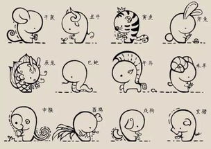 十二生肖的顺序排列：十二生肖的顺序密码，从天文历法到文化传承的千年智慧