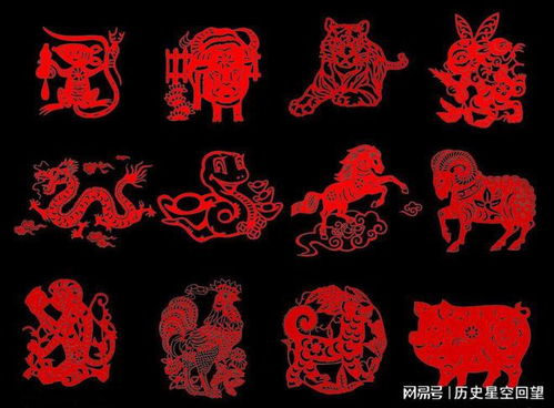 十二生肖的顺序排列：十二生肖的顺序密码，从天文历法到文化传承的千年智慧