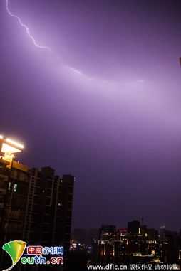 梦见狂风暴雨电闪雷鸣什么意思：惊梦解析，狂风暴雨电闪雷鸣的隐喻