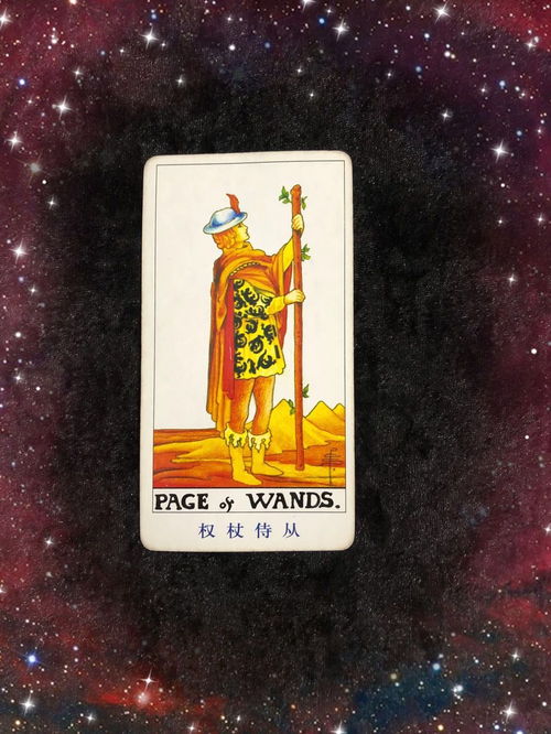 代表上进心的塔罗牌牌：权杖骑士，塔罗牌中的上进心象征
