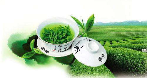 中国十大绿茶排名：中国十大绿茶排名，品味千年茶香，领略山水之灵