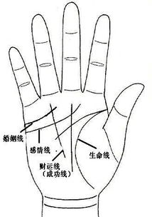 感情线能看出姻缘吗男：手相中的秘密，男性的感情线能否预示姻缘？