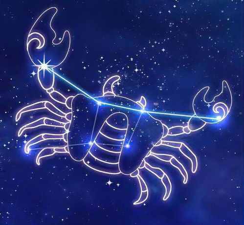 十二星座最傻第一名：十二星座最傻第一名竟是TA！射手座，傻得坦荡，活成人间反内卷标兵