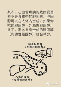 胆固醇高的原因:胆固醇高?这些原因你中招了吗? 胆固醇高的原因:胆固醇高?这些原因你中招了吗?