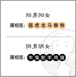 免费算卦抽签:免费算卦抽签,传统文化中的心灵指引与现代社会的心灵解忧 免费算卦抽签:免费算卦抽签,传统文化中的心灵指引与现代社会的心灵解忧