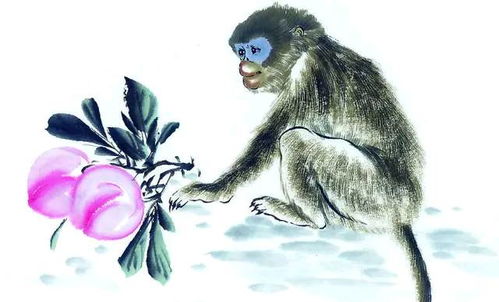 属猴:灵猴通慧,属猴人的天赋与人生密码 属猴:灵猴通慧,属猴人的天赋与人生密码