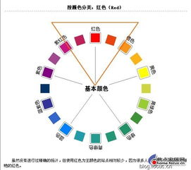 颜色代码大全复制：颜色代码大全复制，设计师与开发者的终极指南
