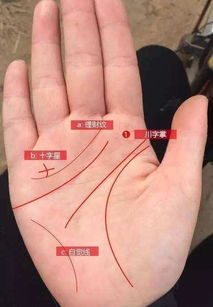 测手相扫一扫 掌纹：AI+掌纹，扫一扫解锁你的生命密码，测手相原来这么简单！