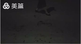 梦见别人的血流在地上：梦中血迹，一场灵魂的低语