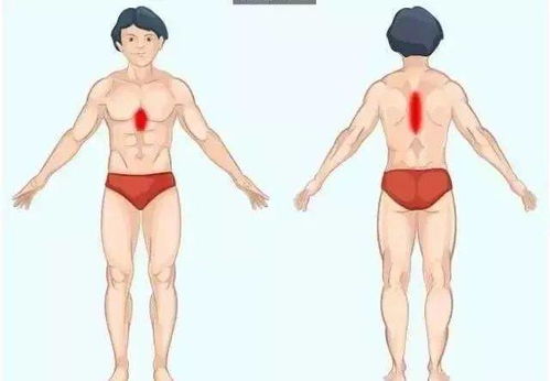 塔罗牌疼女朋友的星座男:塔罗牌揭示,这几个星座男如何用爱的语言打动你 塔罗牌疼女朋友的星座男:塔罗牌揭示,这几个星座男如何用爱的语言打动你