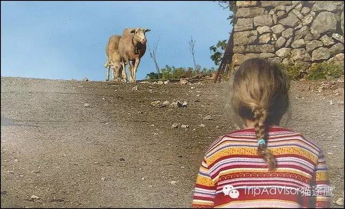 梦见好多人抬棺材送葬:解密梦境,梦见好多人抬棺材送葬的心理启示 梦见好多人抬棺材送葬:解密梦境,梦见好多人抬棺材送葬的心理启示