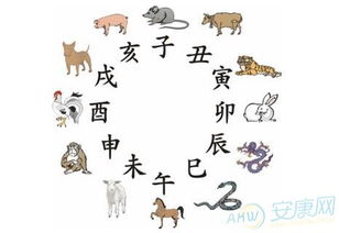 属蛇十二生肖配对姻缘：属蛇人最佳姻缘配对，十二生肖中的良缘与禁忌