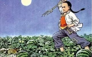 梦见摘苹果:我昨夜梦见了摘苹果 梦见摘苹果:我昨夜梦见了摘苹果