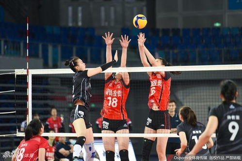 江苏女排3比0河南女排 江苏女排3比0河南女排