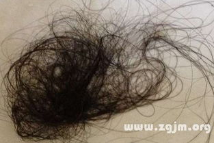 梦见梳头大把掉头发:解密梦境,梳头掉发背后的潜意识密码 梦见梳头大把掉头发:解密梦境,梳头掉发背后的潜意识密码