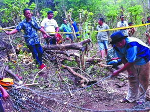 巴厘岛车祸系因下坡弯道路段撞树 巴厘岛车祸系因下坡弯道路段撞树