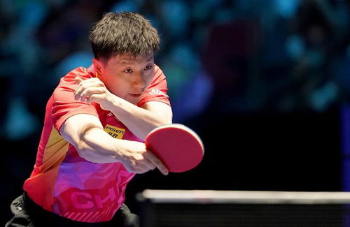 王楚钦打趣让马龙珍惜采访机会 王楚钦打趣让马龙珍惜采访机会