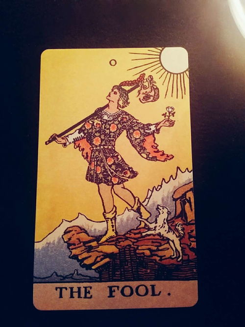 塔罗牌世界的美句是什么:神秘之境,心灵之镜,塔罗牌世界的美句