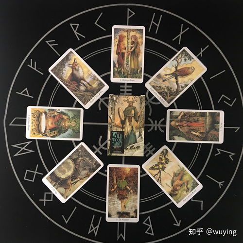 塔罗牌和易经什么关系啊:塔罗牌与易经,东西方神秘学的交汇与碰撞