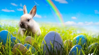 2022年属猪要出大事:2022年属猪人必看!天降大任前夜,这四大劫数如何破局? 2022年属猪要出大事:2022年属猪人必看!天降大任前夜,这四大劫数如何破局?