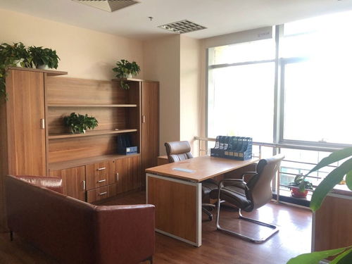 中天精装:关于续聘2025年度审计机构的公告