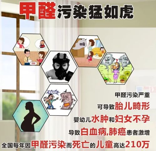 除甲醛最有效方法:除甲醛最有效方法大揭秘!这些科学手段让你安心入住新家