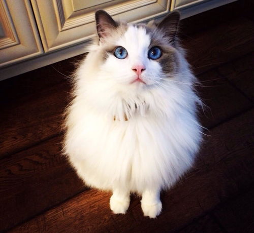 一生最倒霉的星座:十二星座中谁命里自带倒霉BUFF?这些星座的逆袭之路比电视剧还刺激!