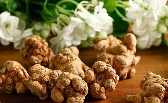 中药三七的功效与主治:中药三七的功效与主治,神奇的止血与活血良药