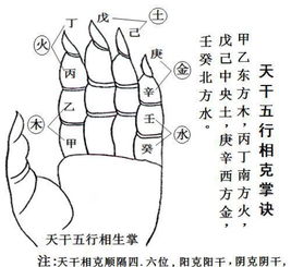 八字合不合怎么算出来的:八字合不合怎么算出来的?从命理角度解析配对关键