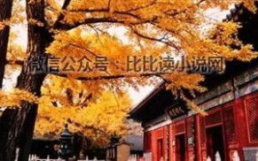 去南京哪里求姻缘好：南京求姻缘好去处，古都浪漫与缘分的完美邂逅