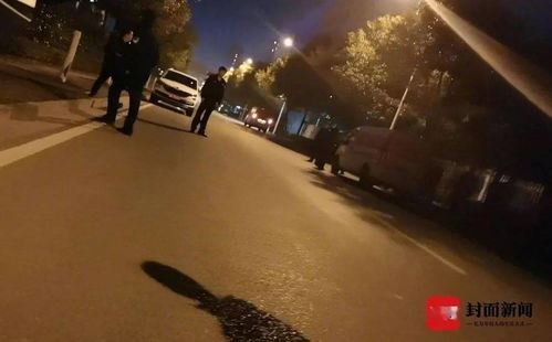 女人梦见牛粪满地：梦中的牛粪，一场关于潜意识的隐喻之旅