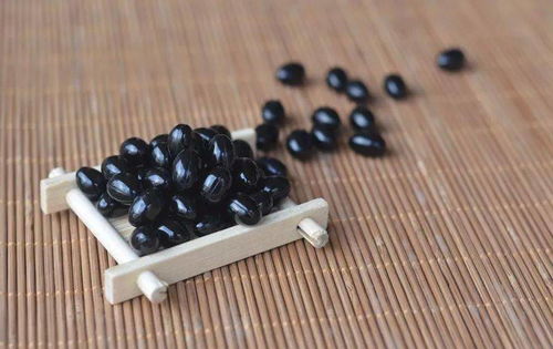 黑蜂胶的功效与作用:黑蜂胶,大自然赐予的神奇免疫力增强剂—功效与作用全解析