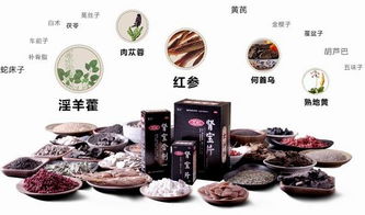 汇仁肾宝片功能：汇仁肾宝片，传统中医智慧与现代健康调理的完美结合