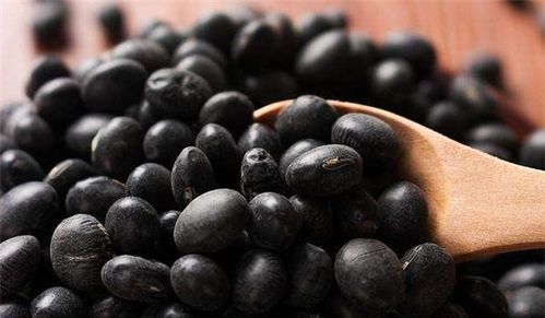 黑豆的功效：黑豆的功效竟然有这么多？