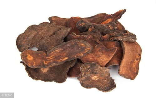 制何首乌的功效与作用：何首乌，传统中药的科学解析与实用指南